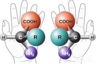 研究人员首次在星际空间探测到手性分子。(新浪科技配图)